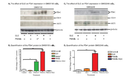 The Possible Role of PD-1 Protein (…)