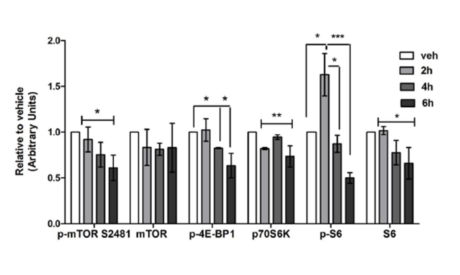 Anti-Tumor Effects of Ganoderma lucidum (Reishi) (…)