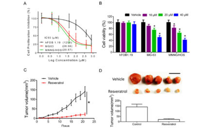 Resveratrol eliminates cancer stem cells (…)