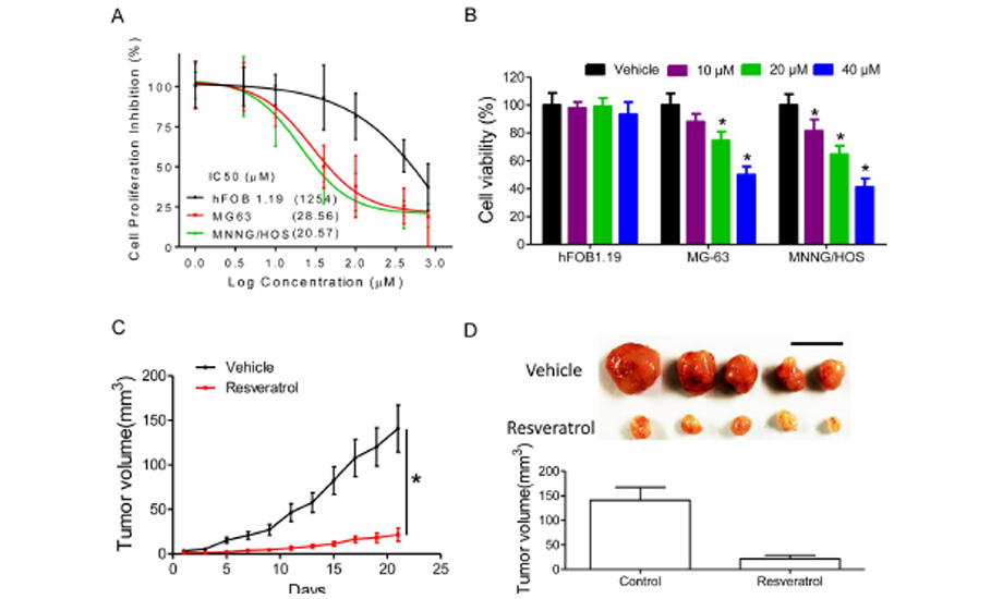 Resveratrol eliminates cancer stem cells (…)