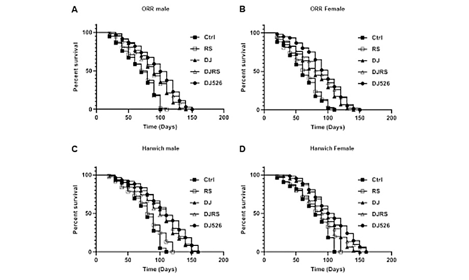 Effect of the Resveratrol Rice DJ526 on Longevity