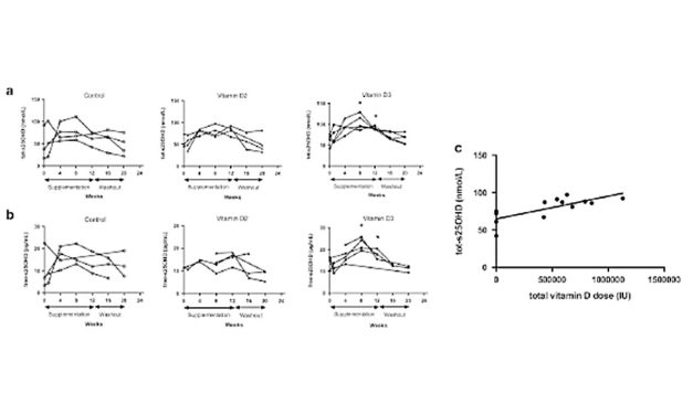 Clinical impact of vitamin D treatment in cystic fibrosis (…)