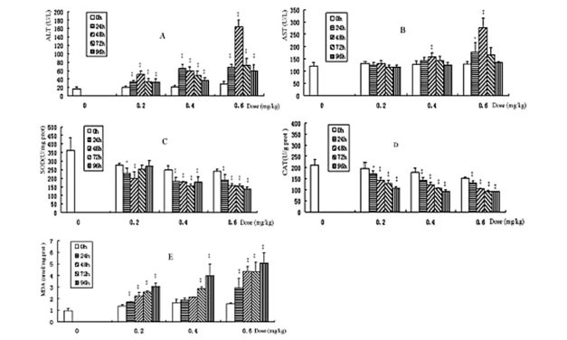 Hepatoprotective Effects of Aqueous Extract from Lingzhi or Reishi Medicinal Mushroom (…)