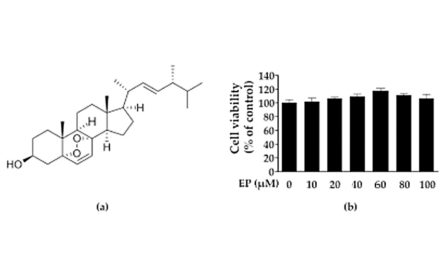 Ergosterol Peroxide from the Medicinal Mushroom Ganoderma lucidum (…)