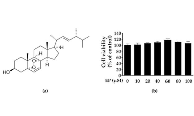 Ergosterol Peroxide from the Medicinal Mushroom Ganoderma lucidum (…)