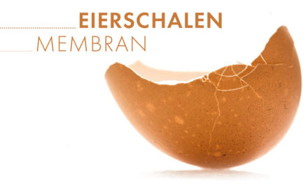 Eierschalen Membran