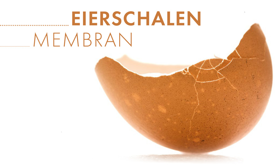 Eierschalen Membran