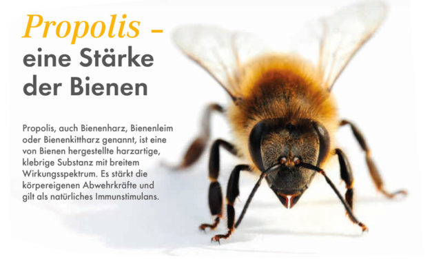 Propolis