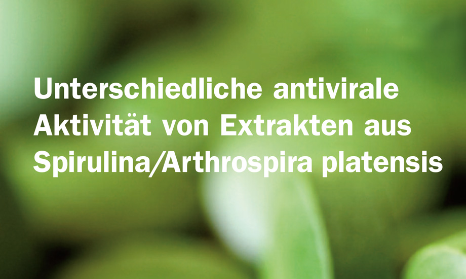 Spirulina extrakte