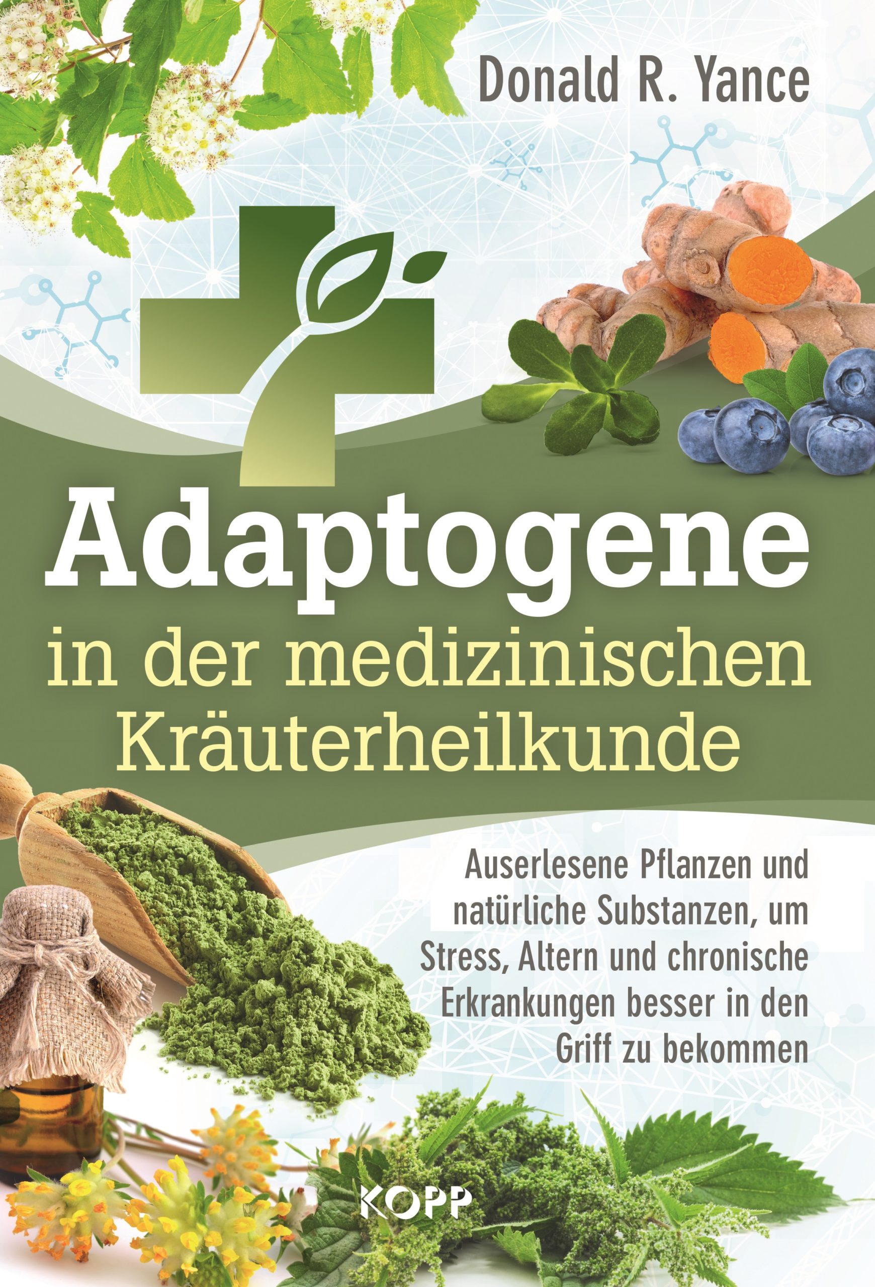 Adaptogene in der medizinischen Kräuterheilkunde