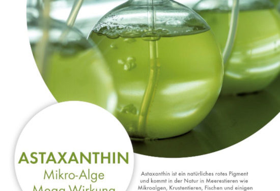 Astaxanthin Mikro Alge- Mega Wirkung