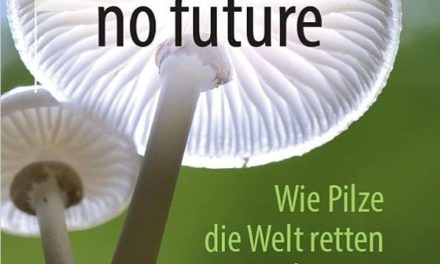 No fungi, no future – wie Pilze die Welt retten können