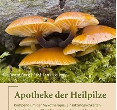 Apotheke der Heilpilze