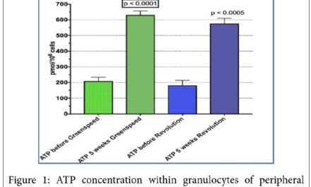 New Coenzyme Q10 Formulations Increase Mental Concentration and Focused Attention Related to ATP Production