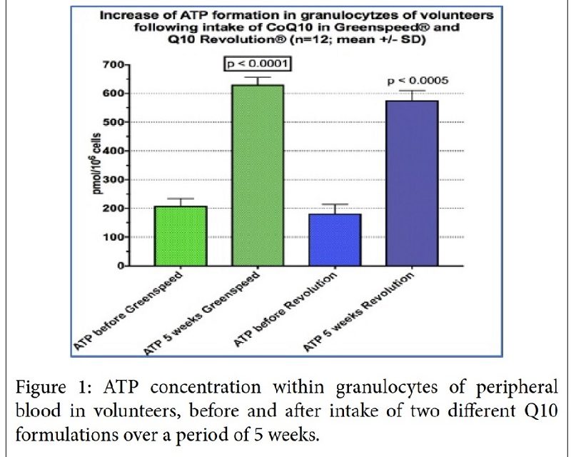 New Coenzyme Q10 Formulations Increase Mental Concentration and Focused Attention Related to ATP Production