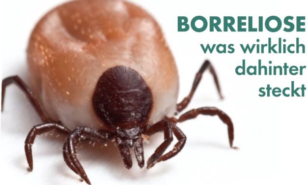 BORRELIOSE was wirklich dahinter steckt