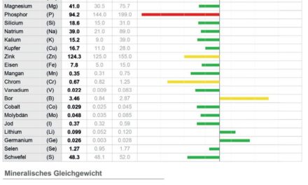 Spektroskopische Mineralien-messung: Der individuelle Weg zur optimalen Vitalstoff- versorgung