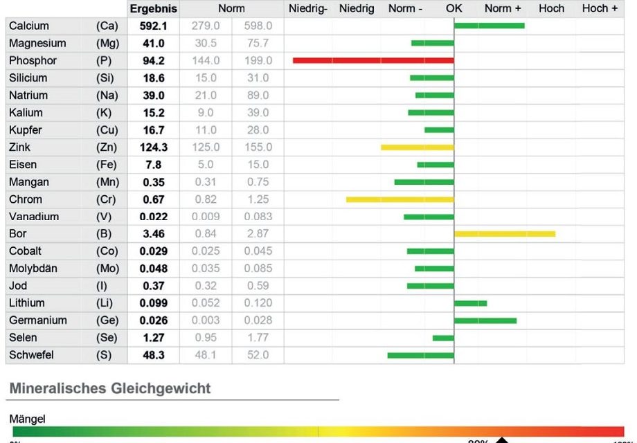 Spektroskopische Mineralien-messung: Der individuelle Weg zur optimalen Vitalstoff- versorgung