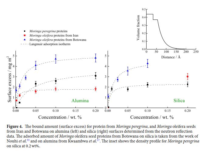 Comparative study of flocculation and adsorption behaviour of water treatment proteins from Moringa peregrina and Moringa oleifera seeds