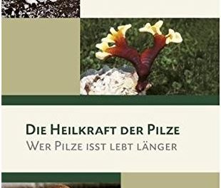 Die Heilkraft der Pilze: Wer Pilze isst lebt länger