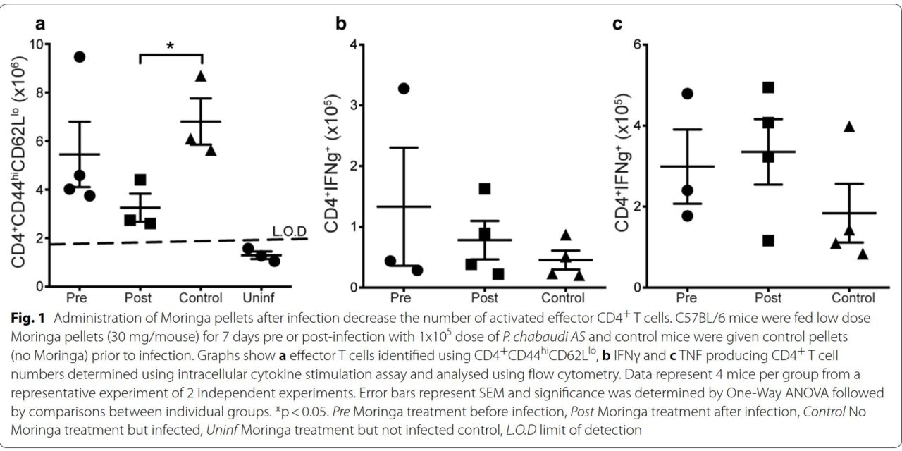 Moringa oleifera treatment increases Tbet expression in CD4+ T cells and remediates immune defects of malnutrition in Plasmodium chabaudi-infected mice