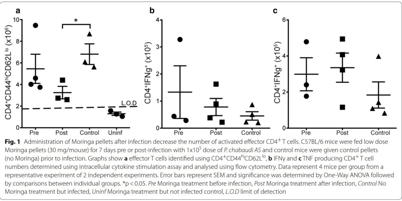 Moringa oleifera treatment increases Tbet expression in CD4+ T cells and remediates immune defects of malnutrition in Plasmodium chabaudi-infected mice