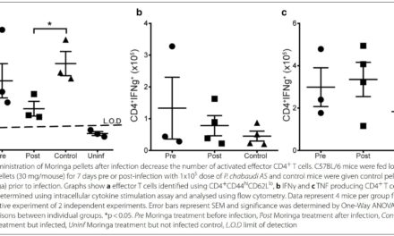 Moringa oleifera treatment increases Tbet expression in CD4+ T cells and remediates immune defects of malnutrition in Plasmodium chabaudi-infected mice