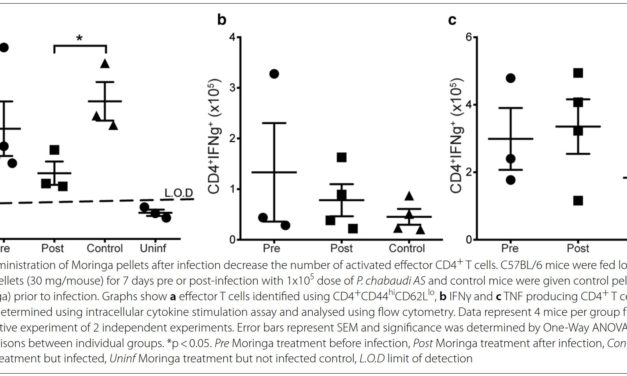 Moringa oleifera treatment increases Tbet expression in CD4+ T cells and remediates immune defects of malnutrition in Plasmodium chabaudi-infected mice