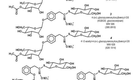 The Diversity of Chemoprotective Glucosinolates in Moringaceae (Moringa spp.)