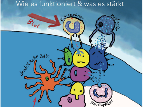 Das Wunder Immunsystem: Wie es funktioniert & was es stärkt